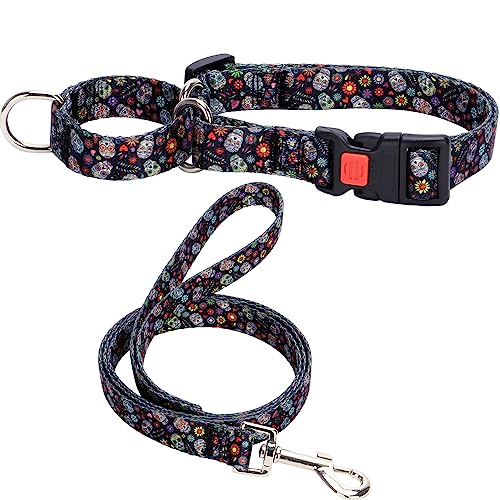 Hotlion Martingalhalsband und Leine, Set aus weichem Nylon, für mittelgroße Hunde, strapazierfähig, ausgefallenes Welpenhalsband mit Schnellverschluss-Schnalle, verstellbar, für Haustiere, Training, Hotlion Martingalhalsband und Leine, Set aus weichem Nylon, für mittelgroße Hunde, strapazierfähig, ausgefallenes Welpenhalsband mit Schnellverschluss-Schnalle, verstellbar, für Haustiere, Training, von Hotlion
