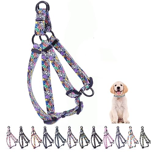 Hotlion Step in Hundegeschirr für große Hunde, Training, Spazierengehen, weiches Nylon, Katze, Kätzchen, verstellbar, Welpenweste, Geschirr, buntes Dreieck, XS Hotlion Step in Hundegeschirr für große Hunde, Training, Spazierengehen, weiches Nylon, Katze, Kätzchen, verstellbar, Welpenweste, Geschirr, buntes Dreieck, XS von Hotlion