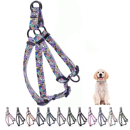 Hotlion Step in Hundegeschirr für große Hunde, Training, Spazierengehen, weiches Nylon, Katze, Kätzchen, verstellbar, Welpenweste, Geschirr, buntes Dreieck, XS von Hotlion