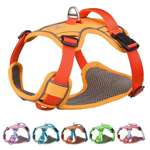 Hundegeschirr, kein Ziehen, reflektierend, verstellbar, weich gepolsterte Weste mit einfacher Kontrolle, D-Ring für kleine, mittelgroße und große Hunde, Training, Spazierengehen, Blau - 1 l Hundegeschirr, kein Ziehen, reflektierend, verstellbar, weich gepolsterte Weste mit einfacher Kontrolle, D-Ring für kleine, mittelgroße und große Hunde, Training, Spazierengehen, Blau - 1 l von Hotlion