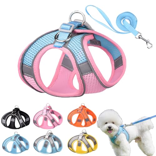Hundegeschirr und Leine, Hundeweste für Sommer, Spaziergänge, Training, reflektierend, verstellbar für kleine, mittelgroße Hunde und erwachsene Katzen, Orange, Größe XXS Hundegeschirr und Leine, Hundeweste für Sommer, Spaziergänge, Training, reflektierend, verstellbar für kleine, mittelgroße Hunde und erwachsene Katzen, Orange, Größe XXS von Hotlion
