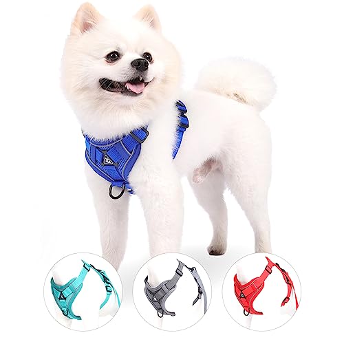 Hundegeschirr und Leine, kein Ziehen, reflektierendes Geschirr, verstellbare Katzenweste, ausbruchsicher, für kleine, mittelgroße und große Hunde, bestes Haustierzubehör für Training, Spazierengehen Hundegeschirr und Leine, kein Ziehen, reflektierendes Geschirr, verstellbare Katzenweste, ausbruchsicher, für kleine, mittelgroße und große Hunde, bestes Haustierzubehör für Training, Spazierengehen von Hotlion