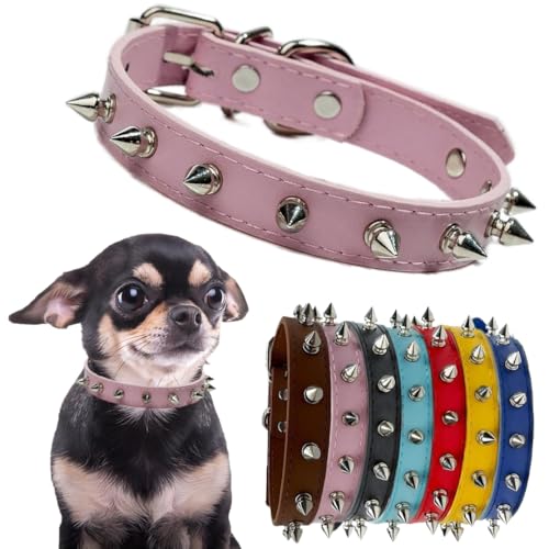 Hundehalsband, Halsband, Leder, Welpen, niedliches Halsband, Punk, Niete, langlebig, mit Schnalle, verstellbar, für kleine, mittelgroße und große Hunde, Rosa-1 M Hundehalsband, Halsband, Leder, Welpen, niedliches Halsband, Punk, Niete, langlebig, mit Schnalle, verstellbar, für kleine, mittelgroße und große Hunde, Rosa-1 M von Hotlion