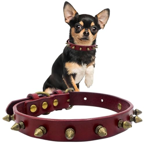 Hundehalsband, Nackenband, Leder, Welpenhalsband, niedliches Halsband, Punk-Nieten, langlebig, mit Schnalle, verstellbar für kleine, mittelgroße und große Hunde, rot (Spiked) XS von Hotlion