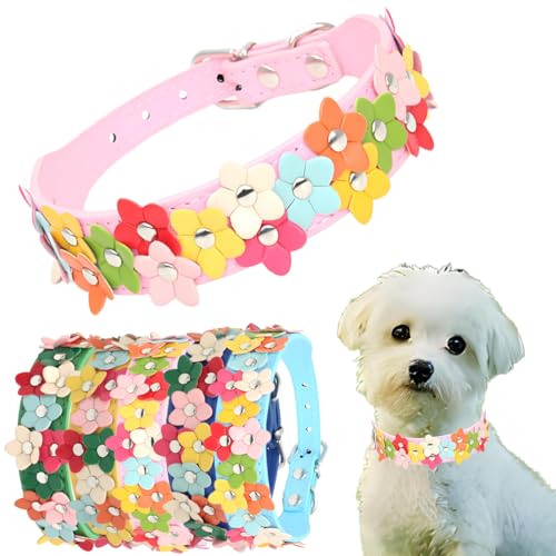 Kleines Hundehalsband mit Blume, niedliches, ausgefallenes Katzenhalsband, PU-Leder, Hundehalsband, für Mädchen und Jungen, verstellbar für XS, S, Rosa 1 von Hotlion