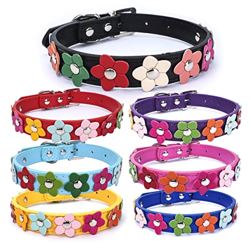 Hundehalsband, PU-Leder, zweireihig, Blumen-Design, bunt, verstellbar, für kleine oder mittelgroße Hunde, Schwarz, Größe L von Hotlion