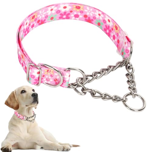 Hundehalsband, robustes Martingal-Halsband für Hunde, kaufest, verstellbar für Training, Spaziergänge mit Edelstahl für mittelgroße und große Hunderassen Hundehalsband, robustes Martingal-Halsband für Hunde, kaufest, verstellbar für Training, Spaziergänge mit Edelstahl für mittelgroße und große Hunderassen von Hotlion