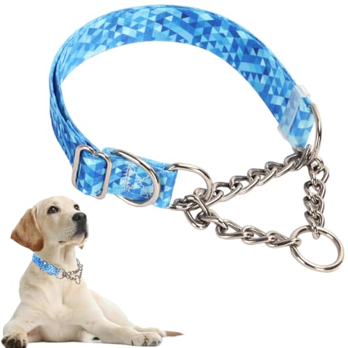 Hundehalsband, robustes Martingal-Halsband für Hunde, kaufest, verstellbar für Training, Spaziergänge mit Edelstahl für mittelgroße und große Hunderassen Hundehalsband, robustes Martingal-Halsband für Hunde, kaufest, verstellbar für Training, Spaziergänge mit Edelstahl für mittelgroße und große Hunderassen von Hotlion