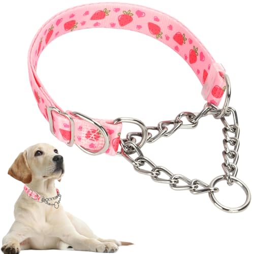 Hundehalsband, robustes Martingal-Halsband für Hunde, kaufest, verstellbar für Training, Spaziergänge mit Edelstahl für mittelgroße und große Hunderassen Hundehalsband, robustes Martingal-Halsband für Hunde, kaufest, verstellbar für Training, Spaziergänge mit Edelstahl für mittelgroße und große Hunderassen von Hotlion