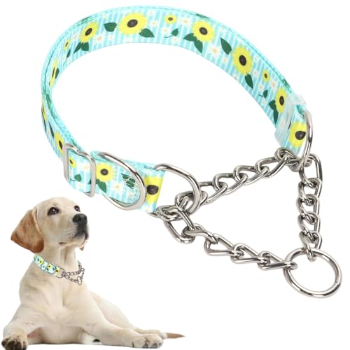 Hundehalsband, robustes Martingal-Halsband für Hunde, kaufest, verstellbar für Training, Spaziergänge mit Edelstahl für mittelgroße und große Hunderassen Hundehalsband, robustes Martingal-Halsband für Hunde, kaufest, verstellbar für Training, Spaziergänge mit Edelstahl für mittelgroße und große Hunderassen von Hotlion