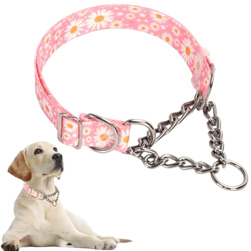 Hundehalsband, robustes Martingal-Halsband für Hunde, kaufest, verstellbar für Training, Spaziergänge mit Edelstahl für mittelgroße und große Hunderassen Hundehalsband, robustes Martingal-Halsband für Hunde, kaufest, verstellbar für Training, Spaziergänge mit Edelstahl für mittelgroße und große Hunderassen von Hotlion