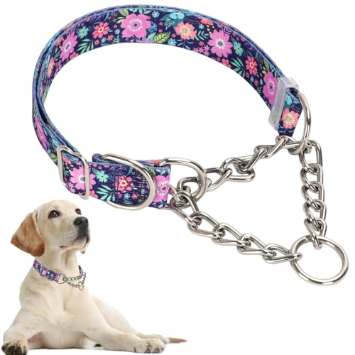 Hundehalsband, robustes Martingal-Halsband für Hunde, kaufest, verstellbar für Training, Spaziergänge mit Edelstahl für mittelgroße und große Hunderassen Hundehalsband, robustes Martingal-Halsband für Hunde, kaufest, verstellbar für Training, Spaziergänge mit Edelstahl für mittelgroße und große Hunderassen von Hotlion