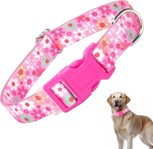 Hundehalsband für kleine Hunde, Schnellverschluss-Schnalle aus Kunststoff, langlebig, hübsches Blumenmuster, für weibliche Katzen, für XS, S, M, L, XL (rosa Blume, M) von Hotlion
