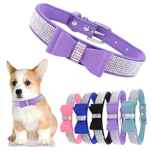 Hundehalsband mit Schleife, mit Strasssteinen, verstellbar, für Mädchen, niedlich, funkelnd, Kristall, Diamanten, Welpenhalsband für kleine, mittelgroße und große Hunde, Lila, Größe M Hundehalsband mit Schleife, mit Strasssteinen, verstellbar, für Mädchen, niedlich, funkelnd, Kristall, Diamanten, Welpenhalsband für kleine, mittelgroße und große Hunde, Lila, Größe M von Hotlion
