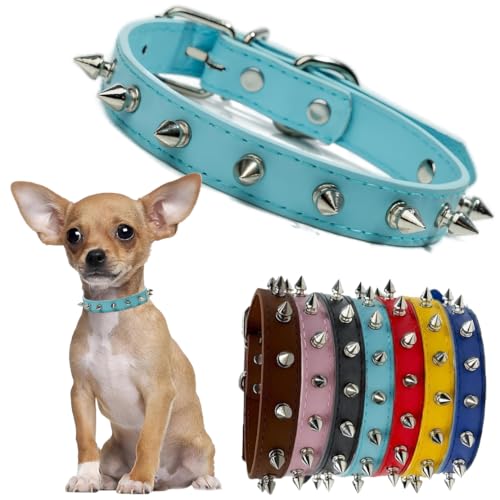 Hundehalsband mit Stacheln, Halsband, Leder, niedliches Halsband, Punk-Nieten, langlebig, mit Schnalle, verstellbar, für kleine, mittelgroße und große Hunde, Hellblau, XS Hundehalsband mit Stacheln, Halsband, Leder, niedliches Halsband, Punk-Nieten, langlebig, mit Schnalle, verstellbar, für kleine, mittelgroße und große Hunde, Hellblau, XS von Hotlion