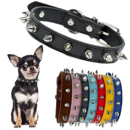 Hundehalsband mit Stacheln, Leder, Katzenhalsband, Punk-Nieten, langlebig, mit Schnalle, für kleine, mittelgroße und große Hunde, Schwarz, Größe S Hundehalsband mit Stacheln, Leder, Katzenhalsband, Punk-Nieten, langlebig, mit Schnalle, für kleine, mittelgroße und große Hunde, Schwarz, Größe S von Hotlion