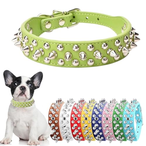Hundehalsband mit Stacheln für kleine Hunde, grün, mit Nieten, PU-Leder, Pilze, Nieten, Welpen, Halsbänder für XXS, XS, kleine, mittelgroße und große Hunde und Katzen, Größe S Hundehalsband mit Stacheln für kleine Hunde, grün, mit Nieten, PU-Leder, Pilze, Nieten, Welpen, Halsbänder für XXS, XS, kleine, mittelgroße und große Hunde und Katzen, Größe S von Hotlion