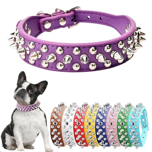 Hundehalsband mit Stacheln für kleine Hunde, violett, für weibliche Hunde, PU-Leder, Pilze, Nieten, Welpen, Halsbänder für XXS, XS, kleine, mittelgroße und große Hunde und Katzen, Größe S Hundehalsband mit Stacheln für kleine Hunde, violett, für weibliche Hunde, PU-Leder, Pilze, Nieten, Welpen, Halsbänder für XXS, XS, kleine, mittelgroße und große Hunde und Katzen, Größe S von Hotlion