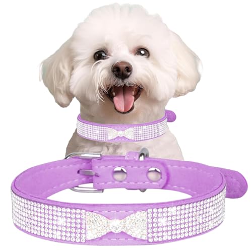 Hundehalsband mit Strasssteinen, glitzernde Diamanten, Fliege, Katzenhalsband, verstellbar, für kleine, mittelgroße und große Haustiere, Kätzchen und Welpen, Dunkelviolett, Größe M Hundehalsband mit Strasssteinen, glitzernde Diamanten, Fliege, Katzenhalsband, verstellbar, für kleine, mittelgroße und große Haustiere, Kätzchen und Welpen, Dunkelviolett, Größe M von Hotlion
