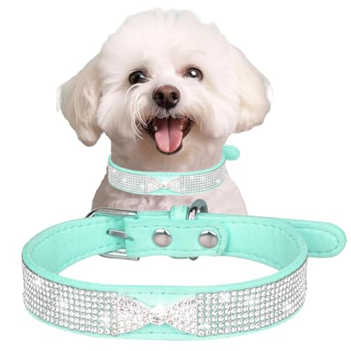 Hundehalsband mit Strasssteinen, Schleife, Katzenhalsband, verstellbar, für kleine, mittelgroße und große Haustiere, Kätzchen und Welpen, Blau, Größe S Hundehalsband mit Strasssteinen, Schleife, Katzenhalsband, verstellbar, für kleine, mittelgroße und große Haustiere, Kätzchen und Welpen, Blau, Größe S von Hotlion