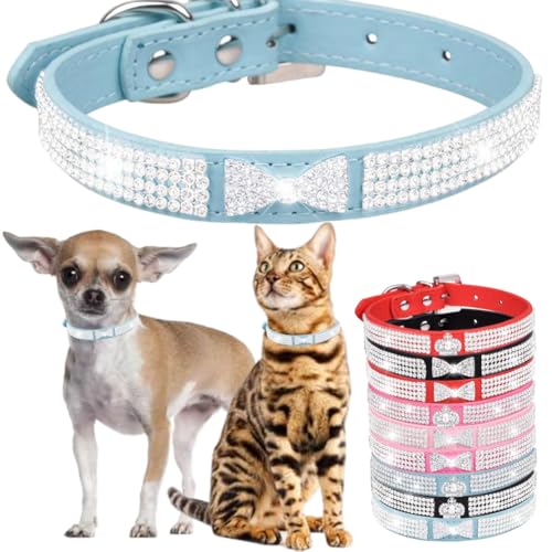 Hundehalsband mit Strasssteinen für kleine Hunde, ausgefallenes Hundehalsband mit Strasssteinen, für Mädchen, Welpen, Katzen, Halsbänder für XXS, XS, kleine, mittelgroße und große Hunde (Blau, S) Hundehalsband mit Strasssteinen für kleine Hunde, ausgefallenes Hundehalsband mit Strasssteinen, für Mädchen, Welpen, Katzen, Halsbänder für XXS, XS, kleine, mittelgroße und große Hunde (Blau, S) von Hotlion