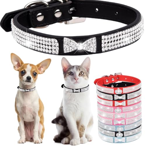 Hundehalsband mit Strasssteinen für kleine Hunde, ausgefallenes Hundehalsband mit Strasssteinen, für Mädchen, Welpen, Katzen, Halsbänder für XXS, XS, kleine, mittelgroße und große Hunde (Schwarz, M) Hundehalsband mit Strasssteinen für kleine Hunde, ausgefallenes Hundehalsband mit Strasssteinen, für Mädchen, Welpen, Katzen, Halsbänder für XXS, XS, kleine, mittelgroße und große Hunde (Schwarz, M) von Hotlion