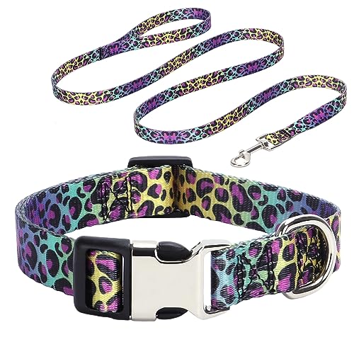 Hundehalsband und Leine, Nylon, Leopardenmuster, langlebig, verstellbar, niedlich, weich, ausgefallen, für große Mädchen, Jungen, Haustiere, Katzen, Kätzchen, Violett/Blau, Größe S Hundehalsband und Leine, Nylon, Leopardenmuster, langlebig, verstellbar, niedlich, weich, ausgefallen, für große Mädchen, Jungen, Haustiere, Katzen, Kätzchen, Violett/Blau, Größe S von Hotlion