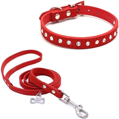 Hundehalsband und Leine, Set mit Strasssteinen, niedliches Kristalldiamant-Katzenhalsband, weiches Leder, verstellbar, für kleine und mittelgroße Hunde, Rot, Größe XS Hundehalsband und Leine, Set mit Strasssteinen, niedliches Kristalldiamant-Katzenhalsband, weiches Leder, verstellbar, für kleine und mittelgroße Hunde, Rot, Größe XS von Hotlion