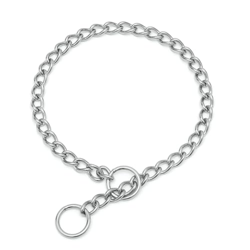 Kettenhalsband für Hunde, Edelstahl, Schlupfglied, strapazierfähig, Training, Martingal-Halsband für kleine, mittelgroße und große Rassen, Hunde, Jungen, Mädchen, Silber, XXS von Hotlion