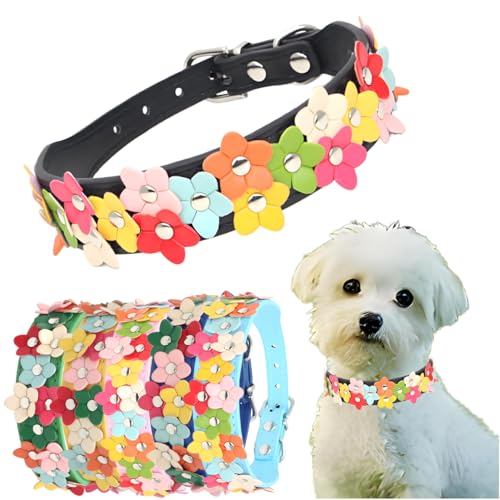 Kleines Hundehalsband mit Blume, niedliches, ausgefallenes Katzenhalsband, PU-Leder, Hundehalsband, für Mädchen und Jungen, verstellbar für XS, S, M, Größe XS, Schwarz 1 von Hotlion