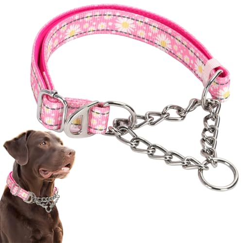 Martingale-Halsband für Hunde, reflektierendes Nylon, verstellbar, strapazierfähig, Martingal-Halsband für das Training von mittelgroßen und großen Rassen Martingale-Halsband für Hunde, reflektierendes Nylon, verstellbar, strapazierfähig, Martingal-Halsband für das Training von mittelgroßen und großen Rassen von Hotlion