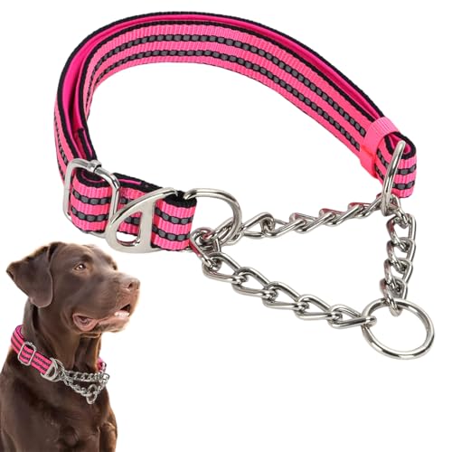 Martingale-Halsband für Hunde, reflektierendes Nylon, verstellbar, strapazierfähig, Martingal-Halsband für das Training von mittelgroßen und großen Rassen Martingale-Halsband für Hunde, reflektierendes Nylon, verstellbar, strapazierfähig, Martingal-Halsband für das Training von mittelgroßen und großen Rassen von Hotlion