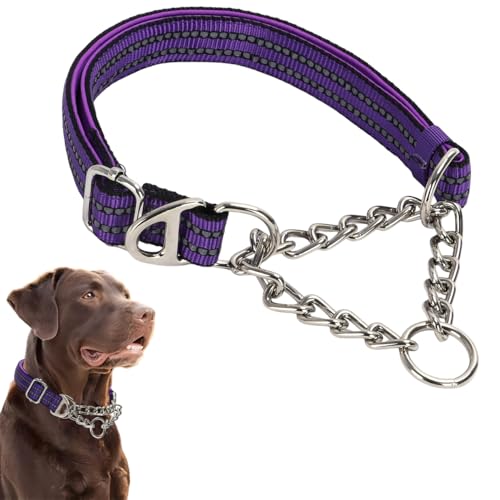 Martingale-Halsband für Hunde, reflektierendes Nylon, verstellbar, strapazierfähig, Martingal-Halsband für das Training von mittelgroßen und großen Rassen Martingale-Halsband für Hunde, reflektierendes Nylon, verstellbar, strapazierfähig, Martingal-Halsband für das Training von mittelgroßen und großen Rassen von Hotlion