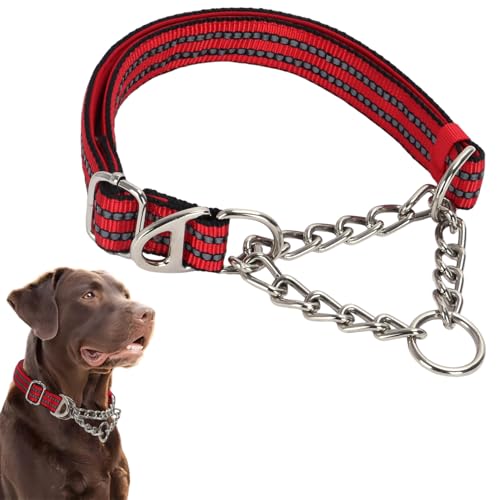 Martingale-Halsband für Hunde, reflektierendes Nylon, verstellbar, strapazierfähig, Martingal-Halsband für das Training von mittelgroßen und großen Rassen Martingale-Halsband für Hunde, reflektierendes Nylon, verstellbar, strapazierfähig, Martingal-Halsband für das Training von mittelgroßen und großen Rassen von Hotlion