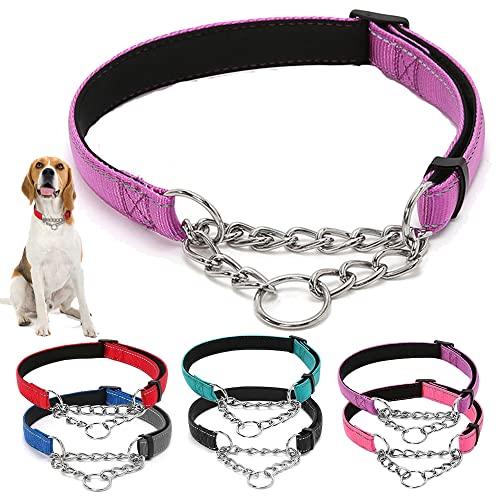 Martingale Hundehalsband, reflektierend, Nylon, mit Edelstahlkette, Breite 2,5 cm, Welpenhalsbänder, weich gepolstert, verstellbar, für Haustiere, Lila, Größe L Martingale Hundehalsband, reflektierend, Nylon, mit Edelstahlkette, Breite 2,5 cm, Welpenhalsbänder, weich gepolstert, verstellbar, für Haustiere, Lila, Größe L von Hotlion