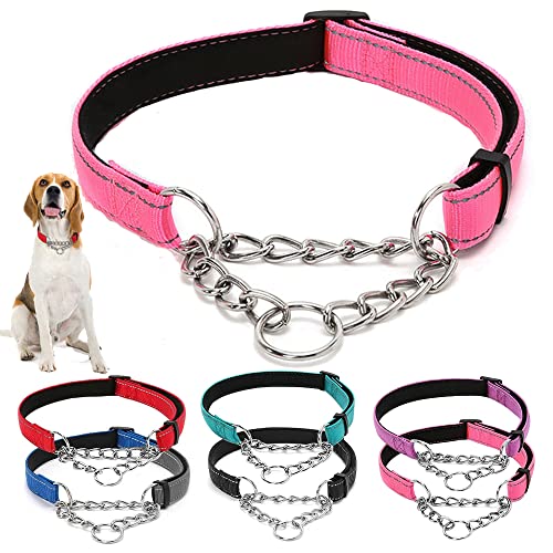 Martingale Hundehalsband, reflektierend, Nylon, mit Edelstahlkette, Breite 2,5 cm, Welpenhalsbänder, weich gepolstert, verstellbar, für XL von Hotlion