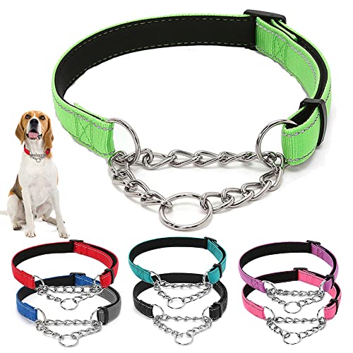 Martingale Hundehalsband, reflektierend, Nylon, mit Edelstahlkette, breit, 2,5 cm, Welpenhalsbänder, weich gepolstert, verstellbar, für Haustiere, Grün, Größe M Martingale Hundehalsband, reflektierend, Nylon, mit Edelstahlkette, breit, 2,5 cm, Welpenhalsbänder, weich gepolstert, verstellbar, für Haustiere, Grün, Größe M von Hotlion