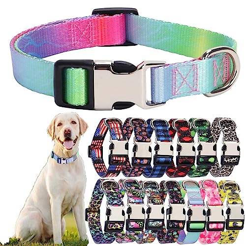 Nylon-Hundehalsband, langlebig, verstellbar, niedlich, weich, ausgefallenes Welpenhalsband, für große Mädchen, Jungen, Haustiere, Katzen, Kätzchen, Farbverlauf, Grün/Lila, Größe L Nylon-Hundehalsband, langlebig, verstellbar, niedlich, weich, ausgefallenes Welpenhalsband, für große Mädchen, Jungen, Haustiere, Katzen, Kätzchen, Farbverlauf, Grün/Lila, Größe L von Hotlion