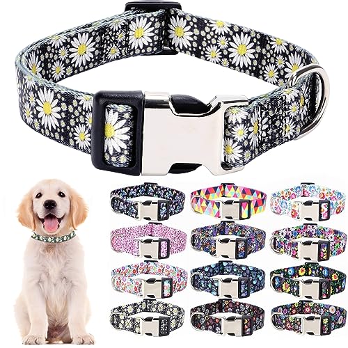 Nylon-Hundehalsband mit Gänseblümchen-Motiv, langlebig, verstellbar, niedlich, weich, für große Mädchen, weibliche Haustiere, Katzen, Kätzchen, Größe M Nylon-Hundehalsband mit Gänseblümchen-Motiv, langlebig, verstellbar, niedlich, weich, für große Mädchen, weibliche Haustiere, Katzen, Kätzchen, Größe M von Hotlion