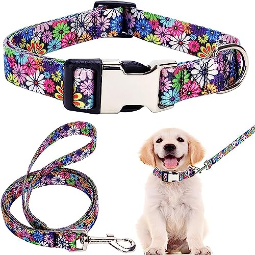 Nylon-Hundehalsband und Leine, Set mit Blumenmuster, langlebig, verstellbar, niedlich, weich, ausgefallene Welpenhalsbänder für große Mädchen, weibliche Haustiere, Katzen, Kätzchen, Bunte Blumen XS von Hotlion