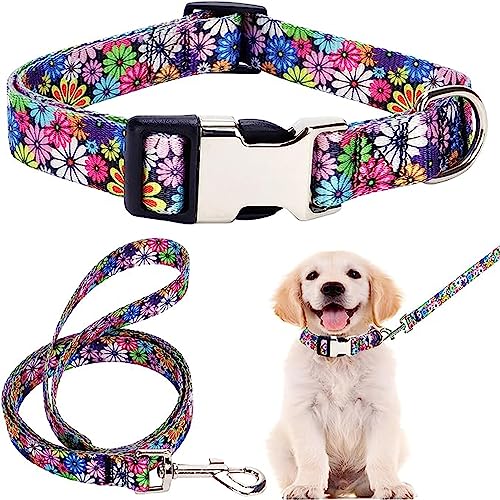 Nylon-Hundehalsband und Leine, Set mit Blumenmuster, langlebig, verstellbar, niedlich, weich, ausgefallene Welpenhalsbänder für große Mädchen, weibliche Haustiere, Katzen, Kätzchen, bunte Blumen, Nylon-Hundehalsband und Leine, Set mit Blumenmuster, langlebig, verstellbar, niedlich, weich, ausgefallene Welpenhalsbänder für große Mädchen, weibliche Haustiere, Katzen, Kätzchen, bunte Blumen, von Hotlion
