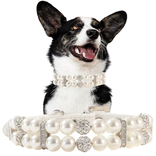 Perlen-Hundehalsband für kleine Hunde, niedliche Katzen-Halskette aus PU-Leder mit Strasssteinen für Welpen, kleine, mittelgroße Hunde, Hochzeit und Geburtstagsparty Perlen-Hundehalsband für kleine Hunde, niedliche Katzen-Halskette aus PU-Leder mit Strasssteinen für Welpen, kleine, mittelgroße Hunde, Hochzeit und Geburtstagsparty von Hotlion
