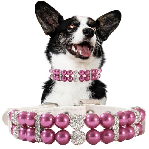 Perlen-Hundehalsband für kleine Hunde, niedliche Katzen-Halskette aus PU-Leder mit Strasssteinen für Welpen, kleine, mittelgroße Hunde, Hochzeit und Geburtstagsparty Perlen-Hundehalsband für kleine Hunde, niedliche Katzen-Halskette aus PU-Leder mit Strasssteinen für Welpen, kleine, mittelgroße Hunde, Hochzeit und Geburtstagsparty von Hotlion