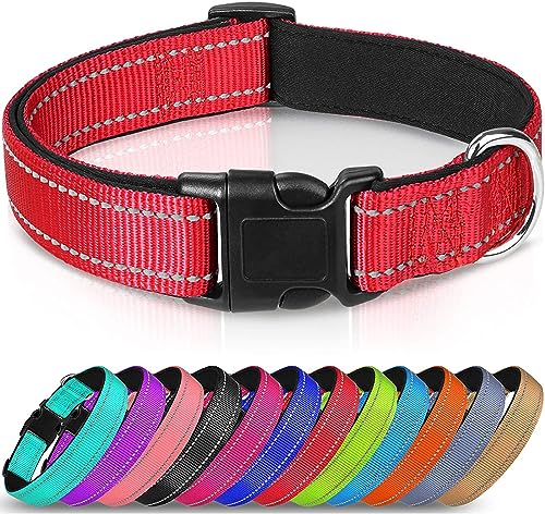 Reflektierendes Hundehalsband, Nylon, klassisch mit weichem Neopren, gepolstert, Schnellverschluss-Schnalle, verstellbar, für Mädchen, Jungen, kleine, mittelgroße und große Hunde (rot, Größe L) von Hotlion