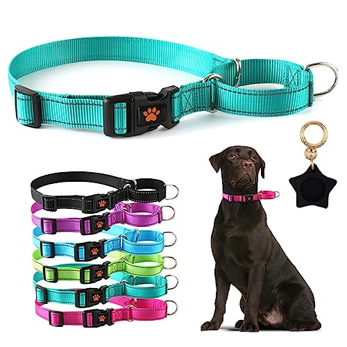 Reflektierendes Martingale-Hundehalsband, weiches Nylon, Welpen-Trainingshalsband mit Schnellverschluss-Schnalle, verstellbar, für große Rassen, Jungen, Mädchen, Haustiere, Blaugrün, XL Reflektierendes Martingale-Hundehalsband, weiches Nylon, Welpen-Trainingshalsband mit Schnellverschluss-Schnalle, verstellbar, für große Rassen, Jungen, Mädchen, Haustiere, Blaugrün, XL von Hotlion