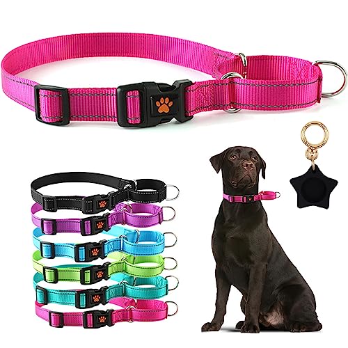Reflektierendes Martingale-Hundehalsband, weiches Nylon, Welpentrainingshalsband mit Schnellverschluss-Schnalle, verstellbar, für große Rassen, Jungen, Mädchen, Haustiere, Hot Pink, Größe XL Reflektierendes Martingale-Hundehalsband, weiches Nylon, Welpentrainingshalsband mit Schnellverschluss-Schnalle, verstellbar, für große Rassen, Jungen, Mädchen, Haustiere, Hot Pink, Größe XL von Hotlion