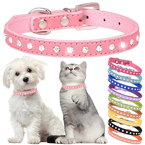 Strass-Hundehalsband, niedliches Kristall-Diamant-Katzenhalsband, weiches Leder, Kätzchen-Welpenhalsband, verstellbar, für kleine, mittelgroße Hunde, Rosa, XXS Strass-Hundehalsband, niedliches Kristall-Diamant-Katzenhalsband, weiches Leder, Kätzchen-Welpenhalsband, verstellbar, für kleine, mittelgroße Hunde, Rosa, XXS von Hotlion