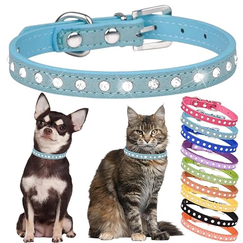 Strass-Hundehalsband, niedliches Kristall-Diamant-Katzenhalsband, weiches Leder, Kätzchen-Welpenhalsband, verstellbar, für kleine, mittelgroße Hunde, Blau, XS von Hotlion
