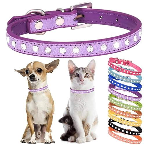 Hotlion Strass Hundehalsband Niedlich Kristall Diamant Katzenhalsband Weiches Leder Kätzchen Welpen Halsbänder Verstellbar für Kleine Mittlere Hunde Lila S Hotlion Strass Hundehalsband Niedlich Kristall Diamant Katzenhalsband Weiches Leder Kätzchen Welpen Halsbänder Verstellbar für Kleine Mittlere Hunde Lila S von Hotlion