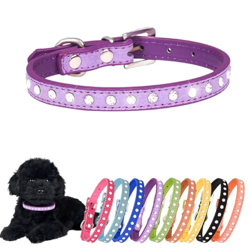 Strass-Hundehalsband, süßes Kristalldiamant-Katzenhalsband, weiches Leder, Kätzchen, Welpenhalsbänder, verstellbar, für kleine mittelgroße Hunde, Lila, XS Strass-Hundehalsband, süßes Kristalldiamant-Katzenhalsband, weiches Leder, Kätzchen, Welpenhalsbänder, verstellbar, für kleine mittelgroße Hunde, Lila, XS von Hotlion